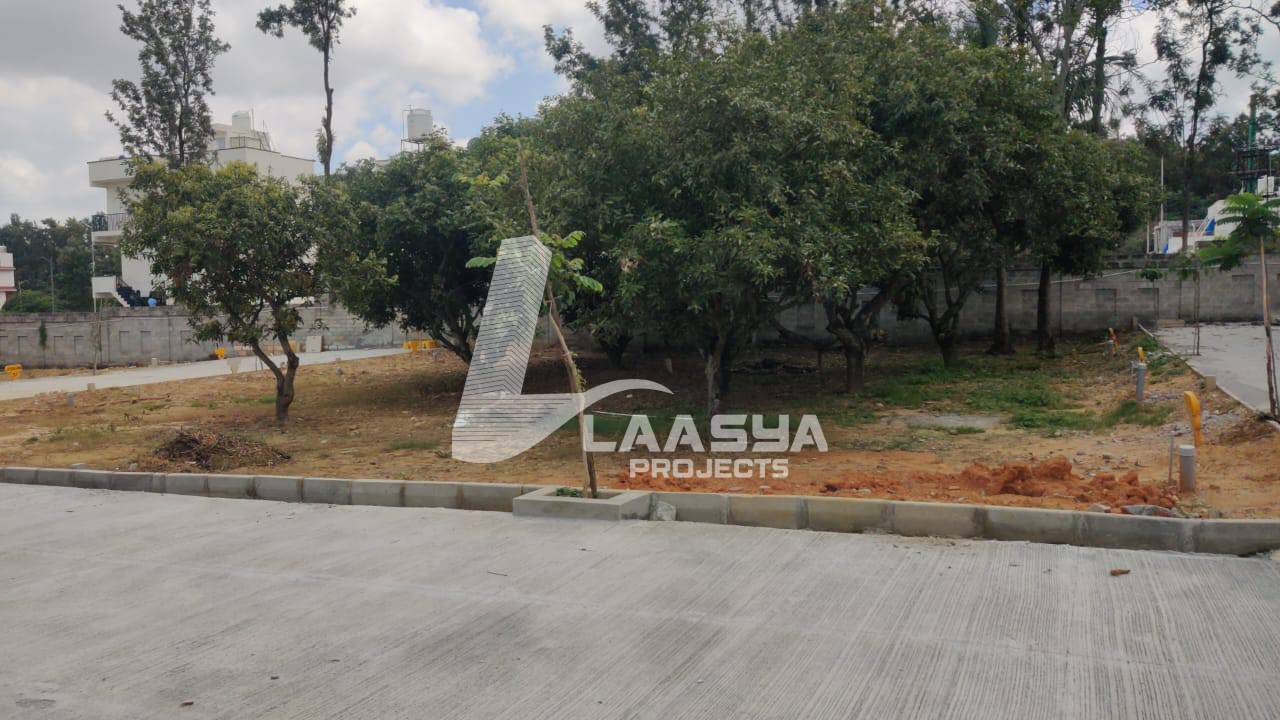 20240126_115219_fde7ed18-f42a-43d0-a382-536f123ca216 (1)