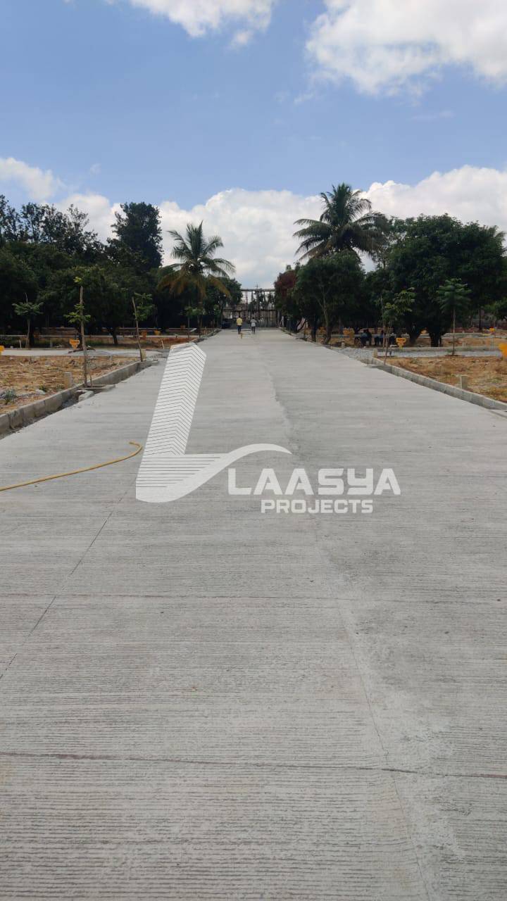 20240126_115220_829aabfb-9c50-49ff-8553-1e028e52e7de (1)