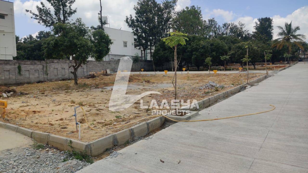 20240126_115220_b2f2a383-ae7c-47de-9cf3-58edf0000356 (1)