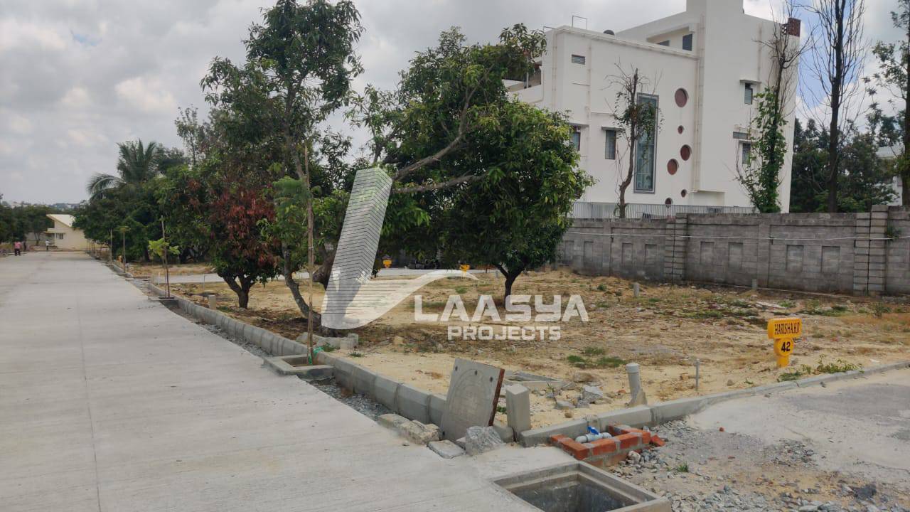 20240126_115221_161d35c8-bb8e-490e-857a-3da47028c173 (1)