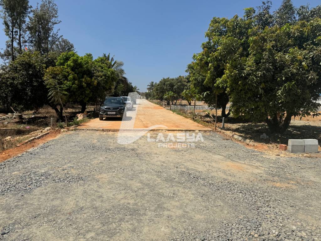 20240211_121013_IMG_0345 (1)