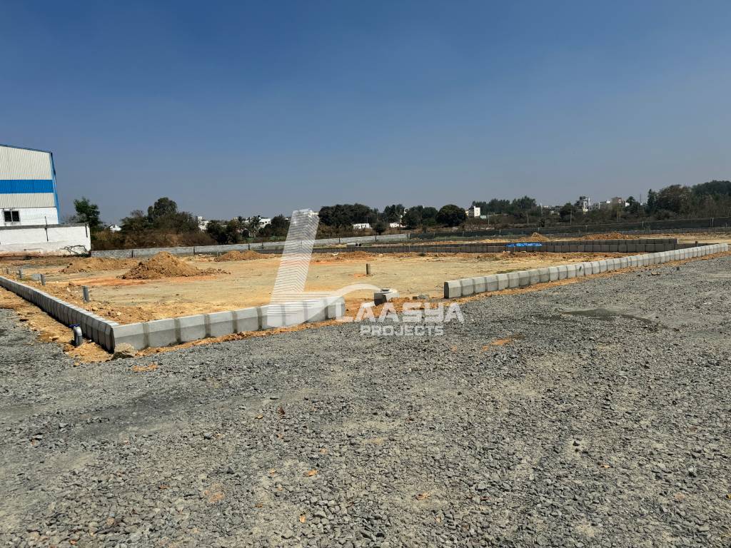 20240211_121018_IMG_0347 (1)