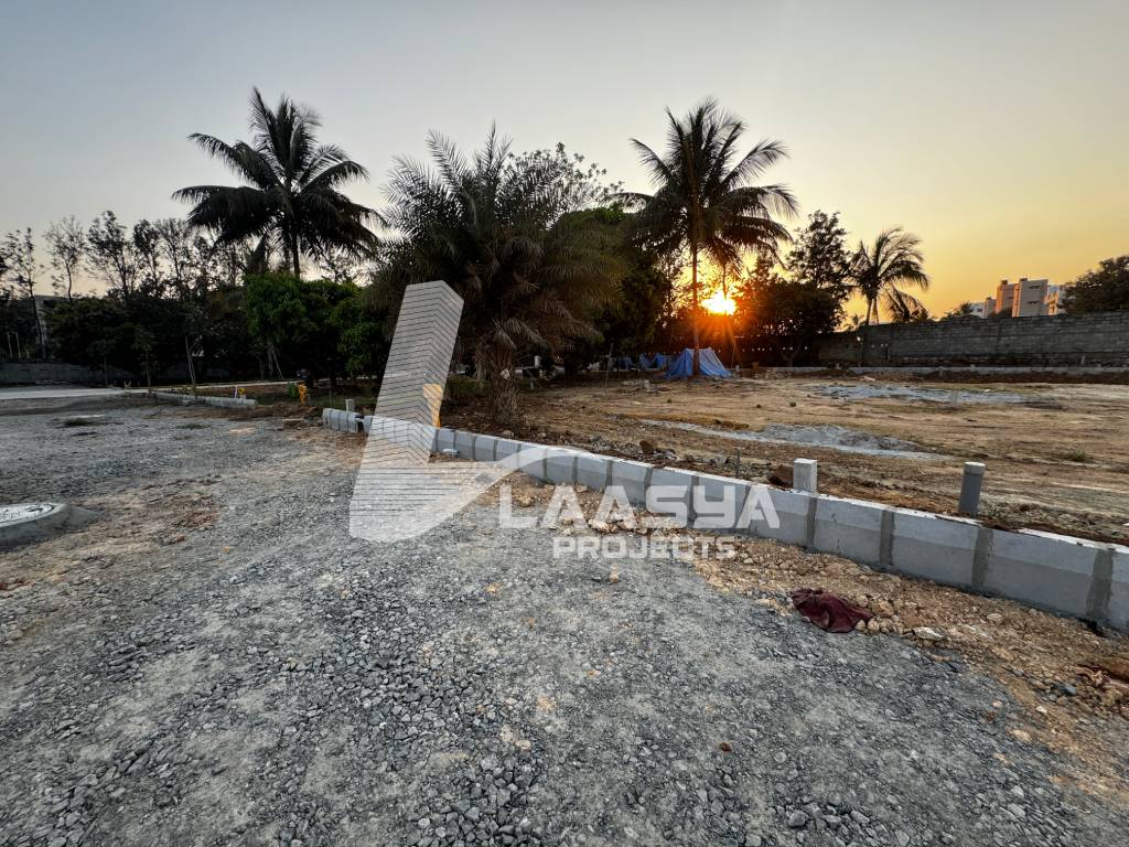 20240303_175350_IMG_0598 (1)